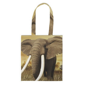 Сумка 3D повседневная с принтом Могучий слон в Тюмени, 100% полиэстер | Плотность: 200 г/м2; Размер: 34×35 см; Высота лямок: 30 см | elephant | африка | бивни | джунгли | мамонт | савана | сафари | слон | хобот