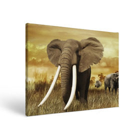 Холст прямоугольный с принтом Могучий слон в Тюмени, 100% ПВХ |  | elephant | африка | бивни | джунгли | мамонт | савана | сафари | слон | хобот
