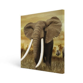 Холст квадратный с принтом Могучий слон в Тюмени, 100% ПВХ |  | Тематика изображения на принте: elephant | африка | бивни | джунгли | мамонт | савана | сафари | слон | хобот