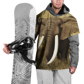 Накидка на куртку 3D с принтом Могучий слон в Тюмени, 100% полиэстер |  | elephant | африка | бивни | джунгли | мамонт | савана | сафари | слон | хобот