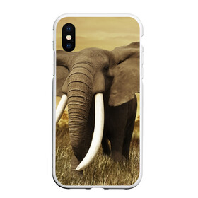 Чехол для iPhone XS Max матовый с принтом Могучий слон в Тюмени, Силикон | Область печати: задняя сторона чехла, без боковых панелей | elephant | африка | бивни | джунгли | мамонт | савана | сафари | слон | хобот