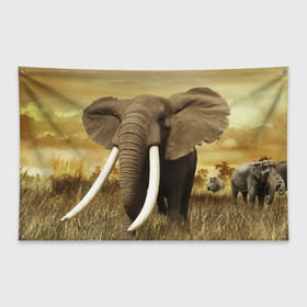 Флаг-баннер с принтом Могучий слон в Тюмени, 100% полиэстер | размер 67 х 109 см, плотность ткани — 95 г/м2; по краям флага есть четыре люверса для крепления | Тематика изображения на принте: elephant | африка | бивни | джунгли | мамонт | савана | сафари | слон | хобот
