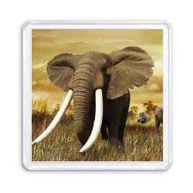 Магнит 55*55 с принтом Могучий слон в Тюмени, Пластик | Размер: 65*65 мм; Размер печати: 55*55 мм | Тематика изображения на принте: elephant | африка | бивни | джунгли | мамонт | савана | сафари | слон | хобот
