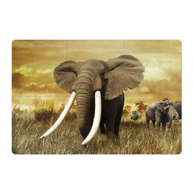 Магнитный плакат 3Х2 с принтом Могучий слон в Тюмени, Полимерный материал с магнитным слоем | 6 деталей размером 9*9 см | Тематика изображения на принте: elephant | африка | бивни | джунгли | мамонт | савана | сафари | слон | хобот