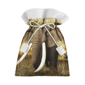 Подарочный 3D мешок с принтом Могучий слон в Тюмени, 100% полиэстер | Размер: 29*39 см | Тематика изображения на принте: elephant | африка | бивни | джунгли | мамонт | савана | сафари | слон | хобот