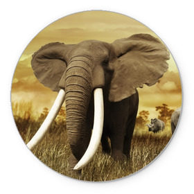Коврик круглый с принтом Могучий слон в Тюмени, резина и полиэстер | круглая форма, изображение наносится на всю лицевую часть | elephant | африка | бивни | джунгли | мамонт | савана | сафари | слон | хобот