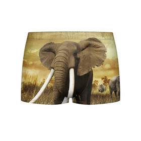 Мужские трусы 3D с принтом Могучий слон в Тюмени, 50% хлопок, 50% полиэстер | классическая посадка, на поясе мягкая тканевая резинка | Тематика изображения на принте: elephant | африка | бивни | джунгли | мамонт | савана | сафари | слон | хобот
