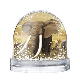 Водяной шар с принтом Могучий слон в Тюмени, Пластик | Изображение внутри шара печатается на глянцевой фотобумаге с двух сторон | elephant | африка | бивни | джунгли | мамонт | савана | сафари | слон | хобот