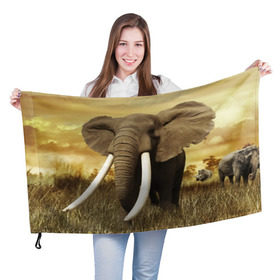 Флаг 3D с принтом Могучий слон в Тюмени, 100% полиэстер | плотность ткани — 95 г/м2, размер — 67 х 109 см. Принт наносится с одной стороны | elephant | африка | бивни | джунгли | мамонт | савана | сафари | слон | хобот