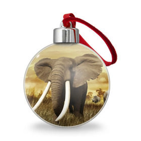 Ёлочный шар с принтом Могучий слон в Тюмени, Пластик | Диаметр: 77 мм | Тематика изображения на принте: elephant | африка | бивни | джунгли | мамонт | савана | сафари | слон | хобот
