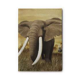 Обложка для автодокументов с принтом Могучий слон в Тюмени, натуральная кожа |  размер 19,9*13 см; внутри 4 больших “конверта” для документов и один маленький отдел — туда идеально встанут права | Тематика изображения на принте: elephant | африка | бивни | джунгли | мамонт | савана | сафари | слон | хобот