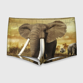 Мужские купальные плавки 3D с принтом Могучий слон в Тюмени, Полиэстер 85%, Спандекс 15% |  | elephant | африка | бивни | джунгли | мамонт | савана | сафари | слон | хобот