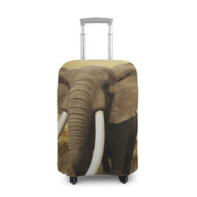 Чехол для чемодана 3D с принтом Могучий слон в Тюмени, 86% полиэфир, 14% спандекс | двустороннее нанесение принта, прорези для ручек и колес | Тематика изображения на принте: elephant | африка | бивни | джунгли | мамонт | савана | сафари | слон | хобот