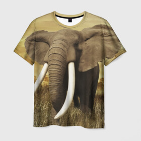 Мужская футболка 3D с принтом Могучий слон в Тюмени, 100% полиэфир | прямой крой, круглый вырез горловины, длина до линии бедер | elephant | африка | бивни | джунгли | мамонт | савана | сафари | слон | хобот