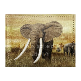 Обложка для студенческого билета с принтом Могучий слон в Тюмени, натуральная кожа | Размер: 11*8 см; Печать на всей внешней стороне | Тематика изображения на принте: elephant | африка | бивни | джунгли | мамонт | савана | сафари | слон | хобот