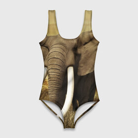 Купальник-боди 3D с принтом Могучий слон в Тюмени, 82% полиэстер, 18% эластан | Круглая горловина, круглый вырез на спине | elephant | африка | бивни | джунгли | мамонт | савана | сафари | слон | хобот