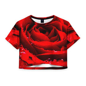 Женская футболка 3D укороченная с принтом Роза в Тюмени, 100% полиэстер | круглая горловина, длина футболки до линии талии, рукава с отворотами | роза | розовая | розы | романтика | цветы