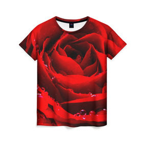 Женская футболка 3D с принтом Роза в Тюмени, 100% полиэфир ( синтетическое хлопкоподобное полотно) | прямой крой, круглый вырез горловины, длина до линии бедер | роза | розовая | розы | романтика | цветы