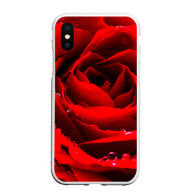 Чехол для iPhone XS Max матовый с принтом Роза в Тюмени, Силикон | Область печати: задняя сторона чехла, без боковых панелей | роза | розовая | розы | романтика | цветы
