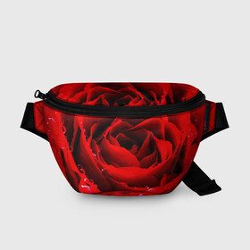 Поясная сумка 3D с принтом Роза в Тюмени, 100% полиэстер | плотная ткань, ремень с регулируемой длиной, внутри несколько карманов для мелочей, основное отделение и карман с обратной стороны сумки застегиваются на молнию | роза | розовая | розы | романтика | цветы