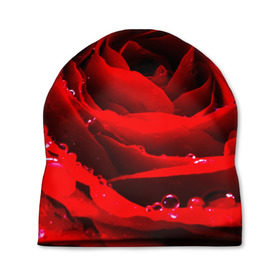 Шапка 3D с принтом Роза в Тюмени, 100% полиэстер | универсальный размер, печать по всей поверхности изделия | роза | розовая | розы | романтика | цветы