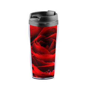 Термокружка-непроливайка с принтом Роза в Тюмени, внутренняя часть — пищевой пластик, наружная часть — прозрачный пластик, между ними — полиграфическая вставка с рисунком | объем — 350 мл, герметичная крышка | роза | розовая | розы | романтика | цветы