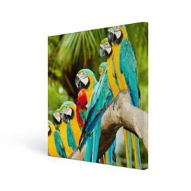 Холст квадратный с принтом Попугаи на ветке в Тюмени, 100% ПВХ |  | джунгли | клюв | острова | перья | попугай | птица | тропики | экзотика