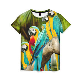 Женская футболка 3D с принтом Попугаи на ветке в Тюмени, 100% полиэфир ( синтетическое хлопкоподобное полотно) | прямой крой, круглый вырез горловины, длина до линии бедер | джунгли | клюв | острова | перья | попугай | птица | тропики | экзотика