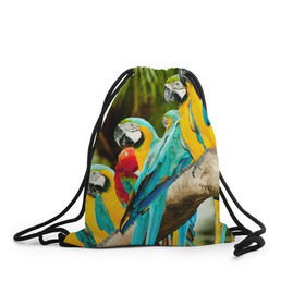 Рюкзак-мешок 3D с принтом Попугаи на ветке в Тюмени, 100% полиэстер | плотность ткани — 200 г/м2, размер — 35 х 45 см; лямки — толстые шнурки, застежка на шнуровке, без карманов и подкладки | джунгли | клюв | острова | перья | попугай | птица | тропики | экзотика