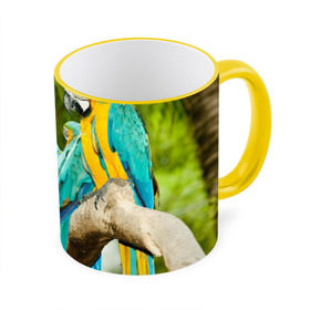 Кружка 3D с принтом Попугаи на ветке в Тюмени, керамика | ёмкость 330 мл | джунгли | клюв | острова | перья | попугай | птица | тропики | экзотика