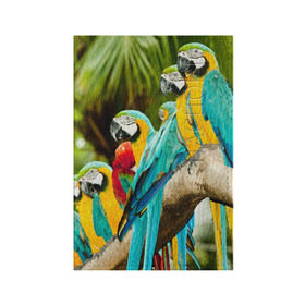 Обложка для паспорта матовая кожа с принтом Попугаи на ветке в Тюмени, натуральная матовая кожа | размер 19,3 х 13,7 см; прозрачные пластиковые крепления | джунгли | клюв | острова | перья | попугай | птица | тропики | экзотика