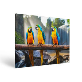Холст прямоугольный с принтом Экзотические попугаи в Тюмени, 100% ПВХ |  | Тематика изображения на принте: джунгли | клюв | острова | перья | попугай | птица | тропики | экзотика