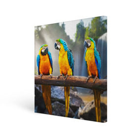Холст квадратный с принтом Экзотические попугаи в Тюмени, 100% ПВХ |  | джунгли | клюв | острова | перья | попугай | птица | тропики | экзотика