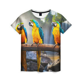 Женская футболка 3D с принтом Экзотические попугаи в Тюмени, 100% полиэфир ( синтетическое хлопкоподобное полотно) | прямой крой, круглый вырез горловины, длина до линии бедер | джунгли | клюв | острова | перья | попугай | птица | тропики | экзотика