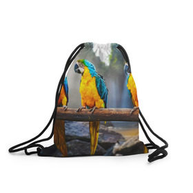 Рюкзак-мешок 3D с принтом Экзотические попугаи в Тюмени, 100% полиэстер | плотность ткани — 200 г/м2, размер — 35 х 45 см; лямки — толстые шнурки, застежка на шнуровке, без карманов и подкладки | джунгли | клюв | острова | перья | попугай | птица | тропики | экзотика