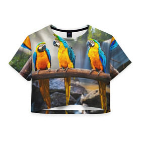 Женская футболка 3D укороченная с принтом Экзотические попугаи в Тюмени, 100% полиэстер | круглая горловина, длина футболки до линии талии, рукава с отворотами | джунгли | клюв | острова | перья | попугай | птица | тропики | экзотика