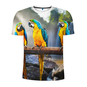 Мужская футболка 3D спортивная с принтом Экзотические попугаи в Тюмени, 100% полиэстер с улучшенными характеристиками | приталенный силуэт, круглая горловина, широкие плечи, сужается к линии бедра | джунгли | клюв | острова | перья | попугай | птица | тропики | экзотика