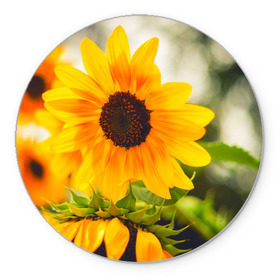 Коврик круглый с принтом Подсолнухи в Тюмени, резина и полиэстер | круглая форма, изображение наносится на всю лицевую часть | Тематика изображения на принте: лето | подсолнух | солнце | цветы