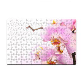Пазл магнитный 126 элементов с принтом Цветы в Тюмени, полимерный материал с магнитным слоем | 126 деталей, размер изделия —  180*270 мм | весна | лето | цветок | цветы