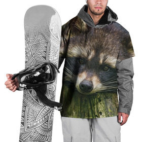 Накидка на куртку 3D с принтом Енотик в Тюмени, 100% полиэстер |  | Тематика изображения на принте: енот | животные | звери | природа