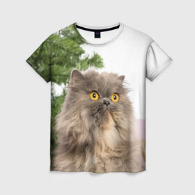 Женская футболка 3D с принтом Пушистый кот в Тюмени, 100% полиэфир ( синтетическое хлопкоподобное полотно) | прямой крой, круглый вырез горловины, длина до линии бедер | 