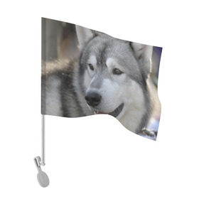 Флаг для автомобиля с принтом Хаски в Тюмени, 100% полиэстер | Размер: 30*21 см | собака | собаки | хаски