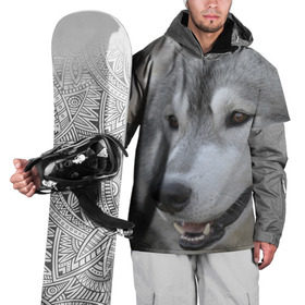 Накидка на куртку 3D с принтом Хаски в Тюмени, 100% полиэстер |  | собака | собаки | хаски