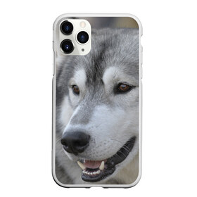 Чехол для iPhone 11 Pro матовый с принтом Хаски в Тюмени, Силикон |  | собака | собаки | хаски