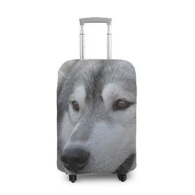 Чехол для чемодана 3D с принтом Хаски в Тюмени, 86% полиэфир, 14% спандекс | двустороннее нанесение принта, прорези для ручек и колес | собака | собаки | хаски