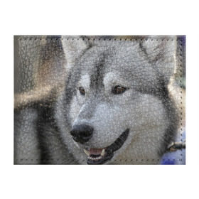 Обложка для студенческого билета с принтом Хаски в Тюмени, натуральная кожа | Размер: 11*8 см; Печать на всей внешней стороне | собака | собаки | хаски