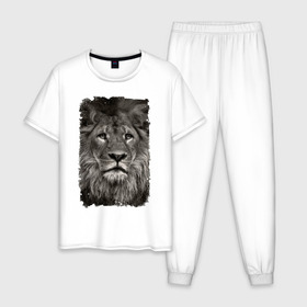 Мужская пижама хлопок с принтом Лев (retro style) в Тюмени, 100% хлопок | брюки и футболка прямого кроя, без карманов, на брюках мягкая резинка на поясе и по низу штанин
 | leo | lion | retro style | ветошь | винтаж | власть | грива | дикая кошка | животное | зверь | клыки | когти | король джунглей | лев | мощь | мудрость | охотник | потёртости | сила | старина | хитрость | хищник