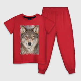 Детская пижама хлопок с принтом Волк (retro style) в Тюмени, 100% хлопок |  брюки и футболка прямого кроя, без карманов, на брюках мягкая резинка на поясе и по низу штанин
 | retro style | wolf | ветошь | взгляд | винтаж | волк | волчара | добыча | жертва | животное | зверь | лик | опасность | охотник | потёртости | санитар леса | серый | старина | хищник | царапины