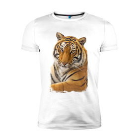 Мужская футболка премиум с принтом Тигр (retro style) в Тюмени, 92% хлопок, 8% лайкра | приталенный силуэт, круглый вырез ворота, длина до линии бедра, короткий рукав | tiger | дикая кошка | тигр | хищник