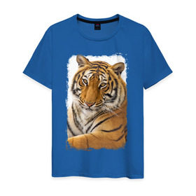 Мужская футболка хлопок с принтом Тигр (retro style) в Тюмени, 100% хлопок | прямой крой, круглый вырез горловины, длина до линии бедер, слегка спущенное плечо. | tiger | дикая кошка | тигр | хищник